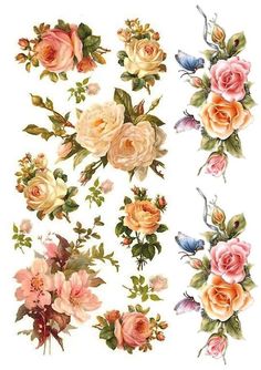 an assortment of flowers on a white background