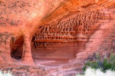 the rock formations are carved to look like trees