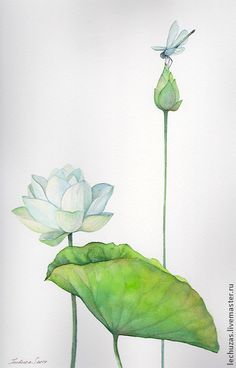 a watercolor painting of two flowers and a dragonfly sitting on top of it