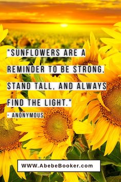 sunflowers are a reminder to be strong, stand tall, and always find the light