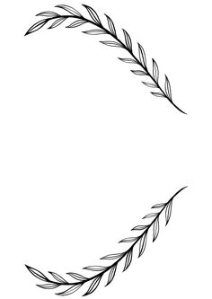 a black and white drawing of a leaf frame