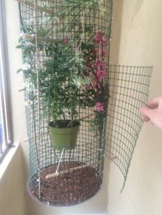 a potted plant on top of a metal wire shelf next to a window sill