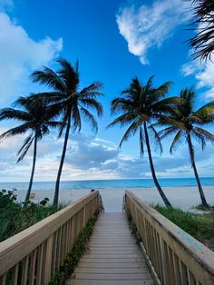 a wooden walkway leading to the beach with palm trees