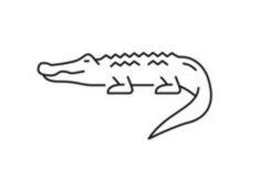 the outline of an alligator's head on a white background