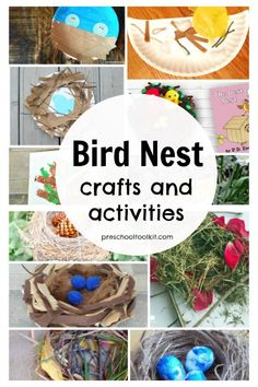 birds nest crafts and activities for kids