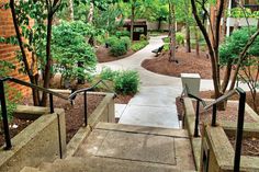 the stairs lead up to an apartment building with trees and bushes on either side of them