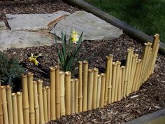 a bamboo fence with yellow flowers growing in it and some rocks on the ground next to it