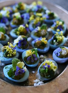 an assortment of edible flowers in small blue eggs on a wooden platter with shells