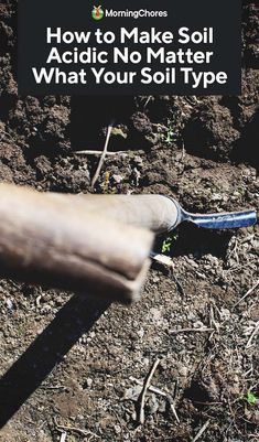 someone is digging in the dirt with their garden tools and text that reads how to make soil acidic no matter what your soil type