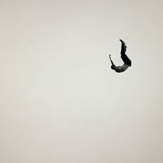 a black and white photo of a bird flying in the sky