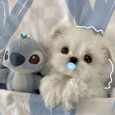 a small white dog sitting next to a stuffed animal