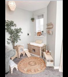 a living room filled with furniture and a potted plant on top of a rug