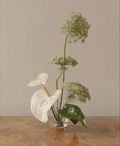 a white flower in a glass vase sitting on a wooden table next to a wall