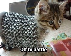 a kitten sitting on top of a table next to a chain link bag with the caption off to battle