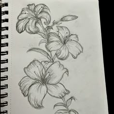 a pencil drawing of flowers on a sheet of paper