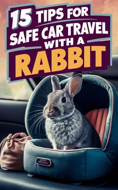 a rabbit sitting in the back seat of a car with text overlay that reads 15 tips for safe car travel with a rabbit