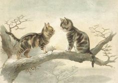 two cats standing on top of a tree branch looking at each other in opposite directions