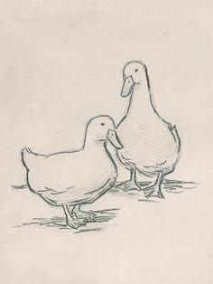 two ducks are standing next to each other