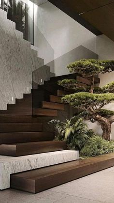 a bonsai tree in the middle of a staircase