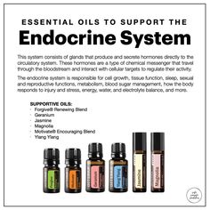 The Endocrine System, Doterra Hormone Balance Woman, Endocrine System Healing, Doterra Supplements, Essential Oils For Thyroid, Doterra Immune Support, Ayurvedic Healing