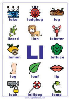 the letter l is for lion and other things that are in this alphabetical poster