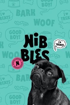 a black pug dog sitting in front of a blue background with the words nib bites on it