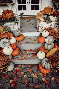 pumpkins and gourds are arranged on the steps