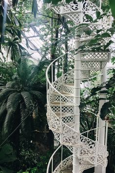 a white spiral staircase surrounded by greenery