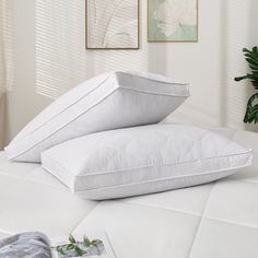 two pillows sitting on top of a bed next to a plant in a room with white walls