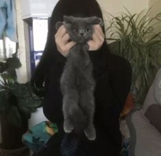 a person holding a cat up to their face in front of the camera with both hands