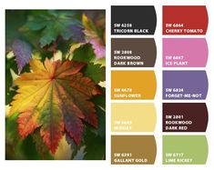 the color scheme for autumn is shown in shades of red, orange, yellow and green