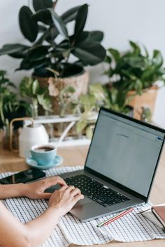 You'd be surprised at the effect indoor plants can have on your work-from-home life! Unravel the unexpected advantage of having at least 8 indoor plants in your home office. Work Makeup, Project Management Tools, Business Headshots, Obstacle Course, Break Free, Woman Face, Work Space, Labour Day, Improve Yourself