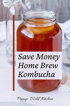 save money home brew kombucha