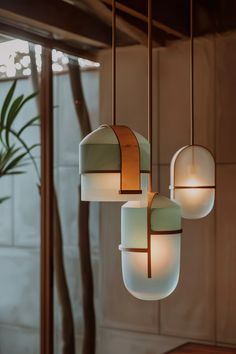 three lights hanging from a ceiling in a room with a potted plant on the side