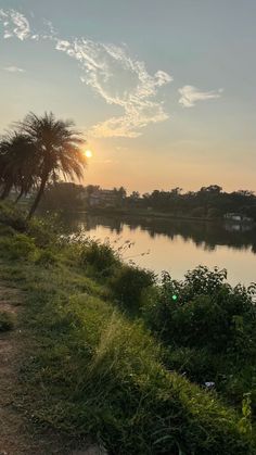 the sun is setting over a lake with palm trees