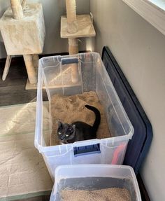 a black cat sitting in a litter box next to two plastic bins filled with sand