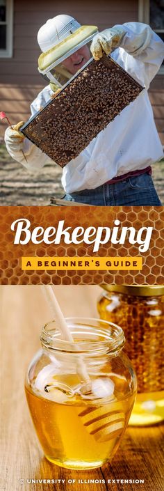 beekeepering a beginner's guide to honeybees and how to use them