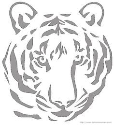 a tiger's head is shown in the shape of a circle