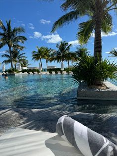 an empty swimming pool surrounded by palm trees