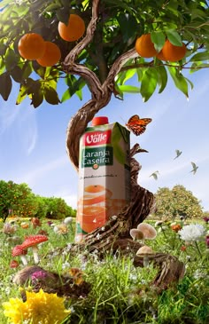 an orange juice carton sitting on top of a tree with butterflies flying around it