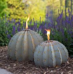 two cactus like objects sitting on the ground