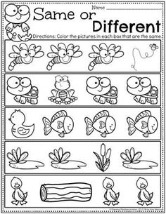 the same or different worksheet for children