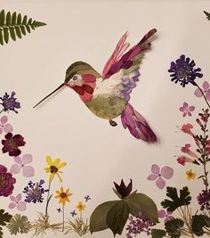 a hummingbird is flying in the air above flowers and plants on a white background