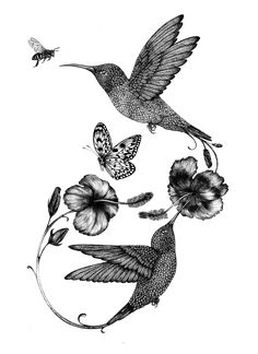 two hummingbirds flying next to flowers and a bee on a white background, vintage engraving