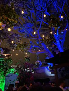 a group of people sitting at tables in front of trees with lights hanging from them