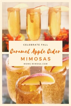 three glasses filled with apple cider mimos and the title reads celebrate fall, caramel apple cider mimos