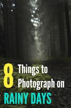 the words 8 things to photograph on rainy days in front of a forest with fog