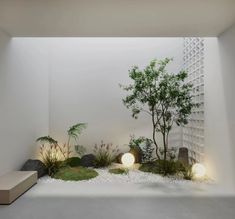 a white room with plants and rocks on the floor in front of a wall that is lit up