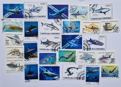 a bunch of stamps with different types of animals on them, including sharks and dolphins