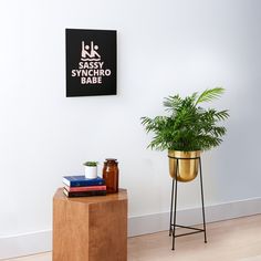 a potted plant sitting on top of a wooden table